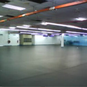 ESD Epoxy weaves protection, anti-static floors shield, grounding tech realms in secure embrace.